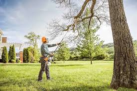 Best Soil Testing and Treatment  in Clayton, GA