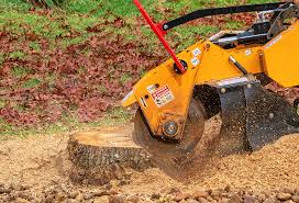 Best Lawn Pest Prevention  in Clayton, GA